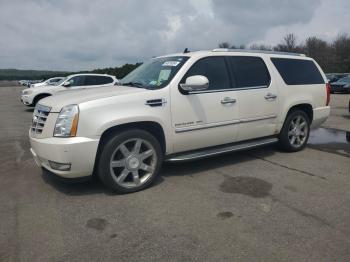  Salvage Cadillac Escalade