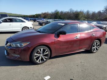  Salvage Nissan Maxima