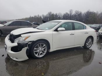  Salvage Nissan Maxima