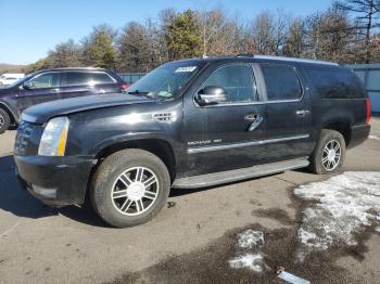  Salvage Cadillac Escalade