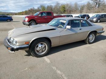  Salvage Jaguar Xjs