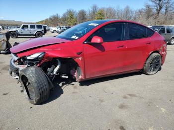  Salvage Tesla Model Y