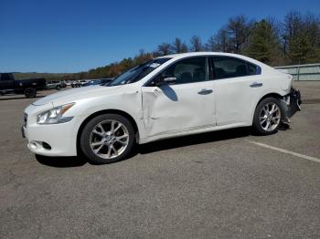  Salvage Nissan Maxima