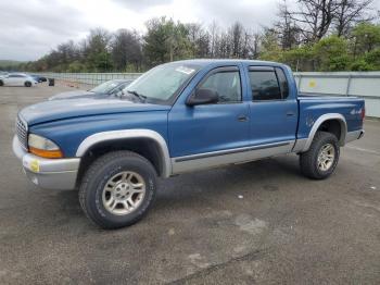  Salvage Dodge Dakota