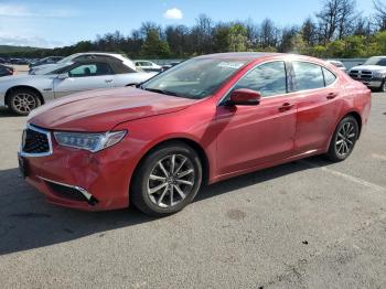  Salvage Acura TLX