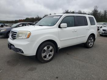  Salvage Honda Pilot