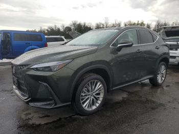  Salvage Lexus NX