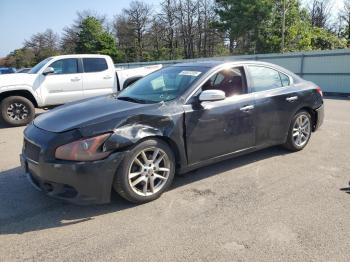  Salvage Nissan Maxima