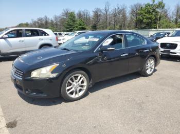  Salvage Nissan Maxima