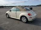 Volkswagen Beetle S Image 7