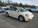 Volkswagen Beetle S Image 11