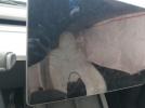 Tesla Model Y Image 4