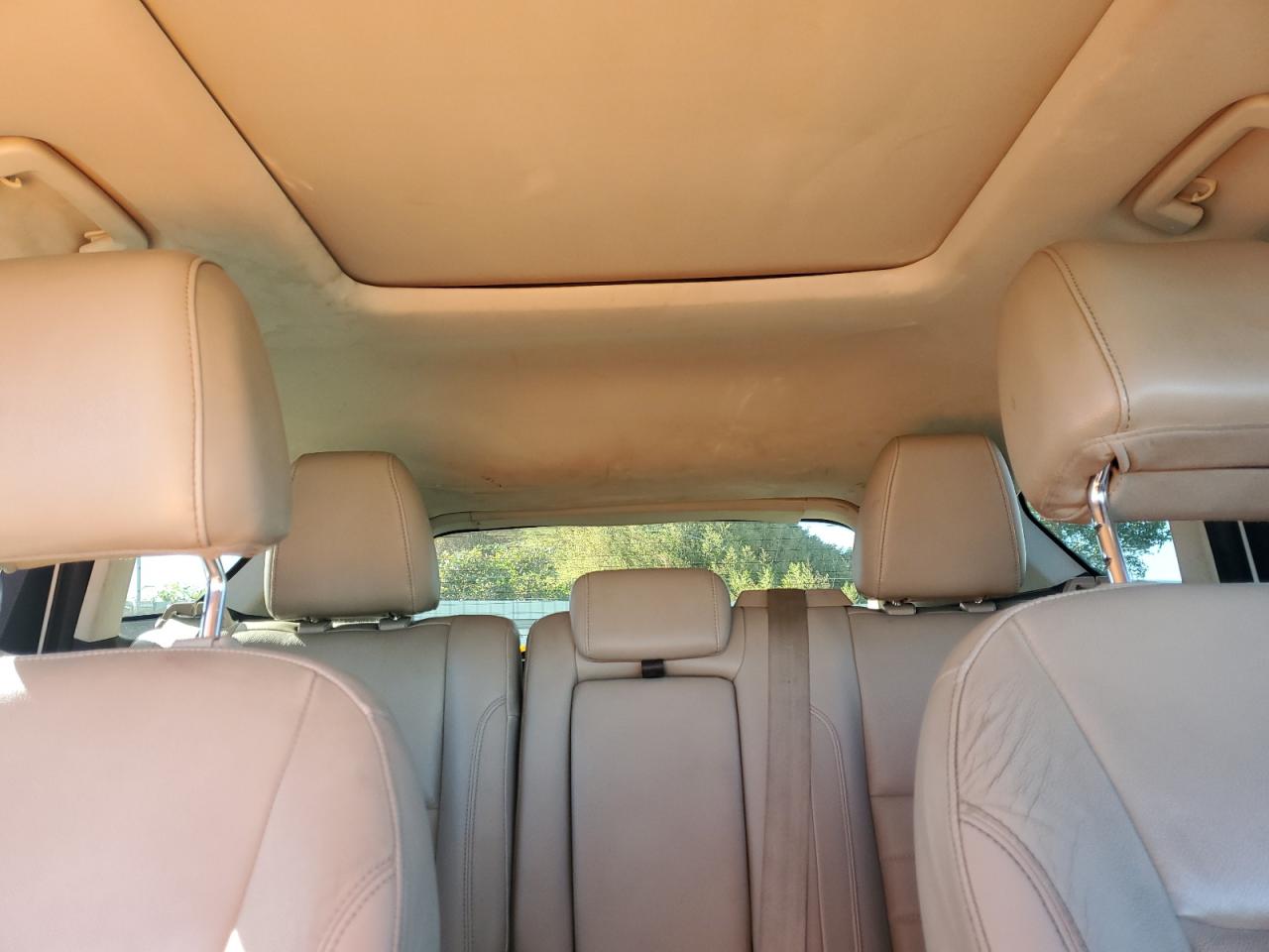 Ford Escape Sel Image 6