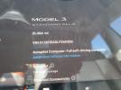 Tesla Model 3 Image 10