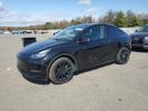 Tesla Model Y Image 1