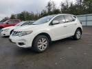 Nissan Murano S Image 1