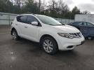 Nissan Murano S Image 7