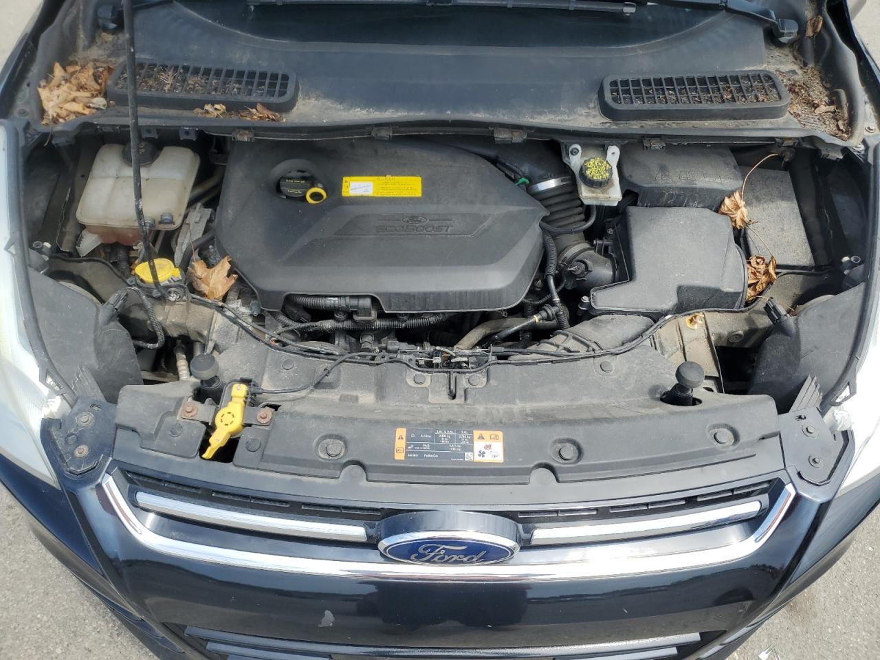 Ford Escape Titanium Image 11