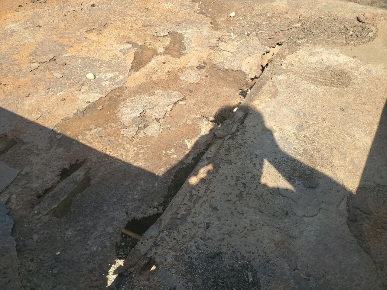 B-wise Trailer Image 8