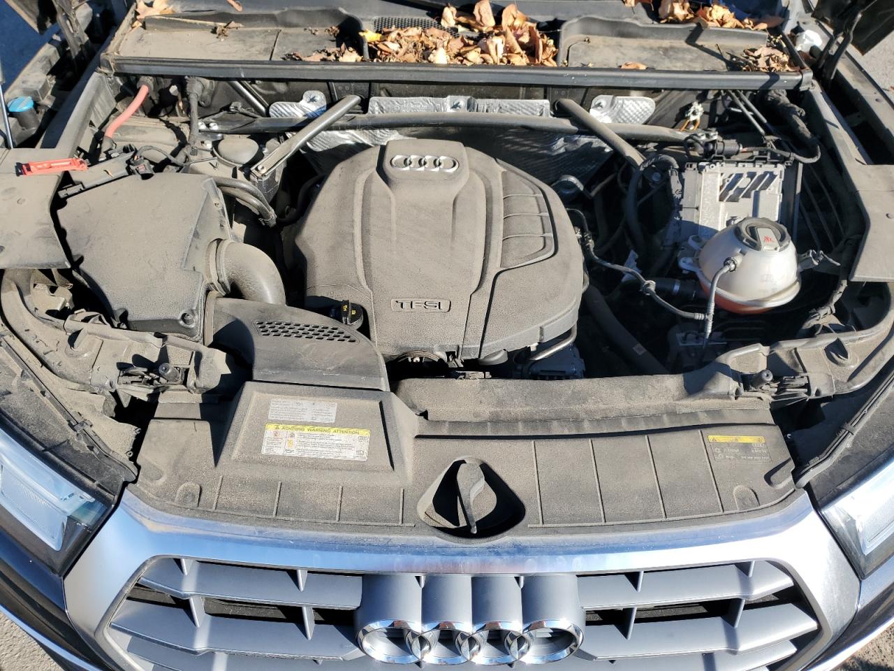 Audi Q5 Premium Plus Image 6