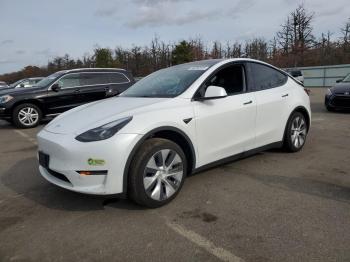  Salvage Tesla Model Y