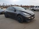 Tesla Model Y Image 2
