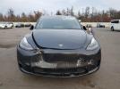 Tesla Model Y Image 4