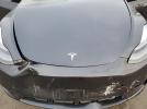 Tesla Model Y Image 12