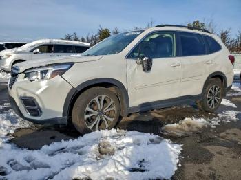  Salvage Subaru Forester
