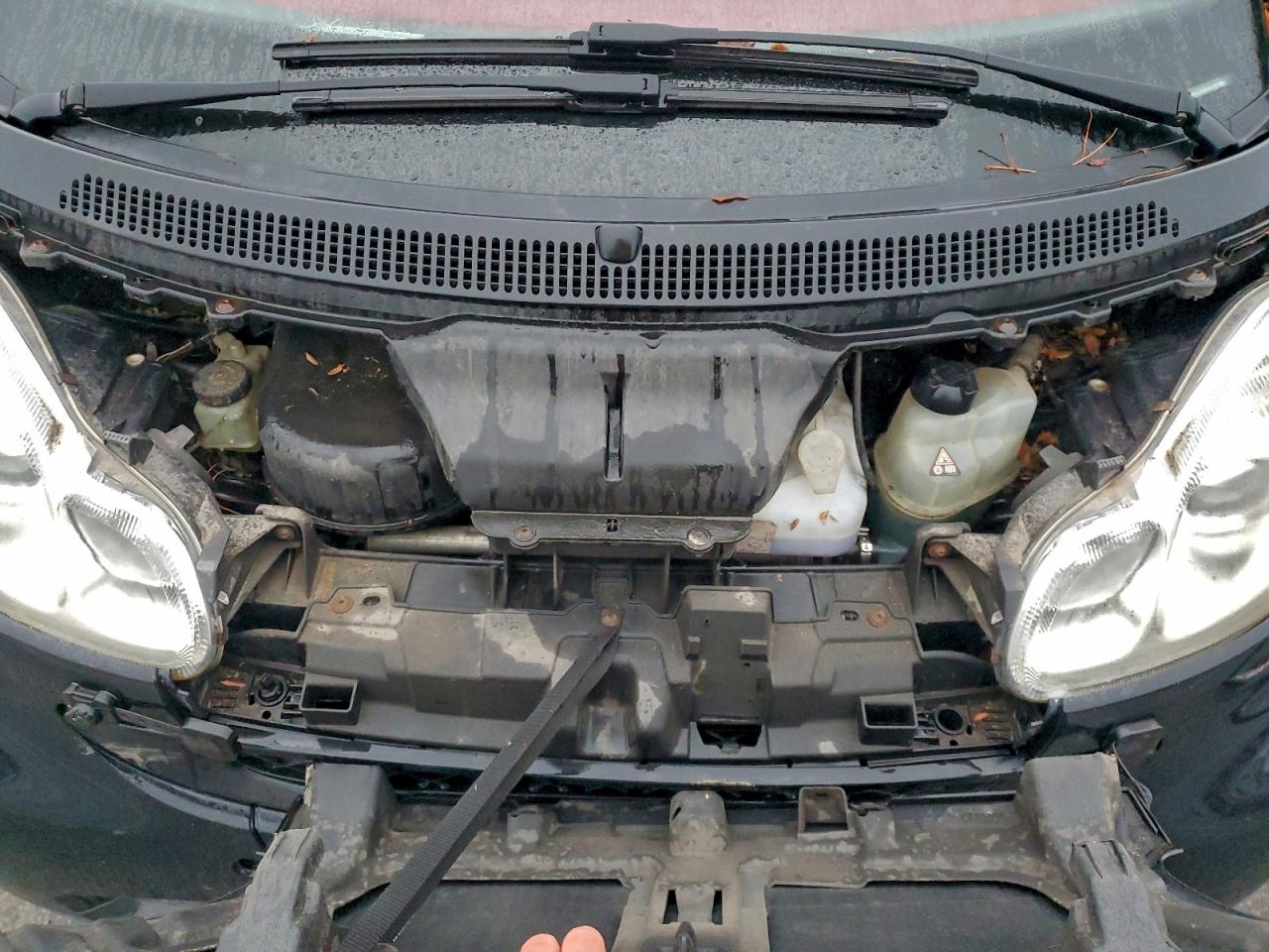 Smart fortwo Pure Image 10