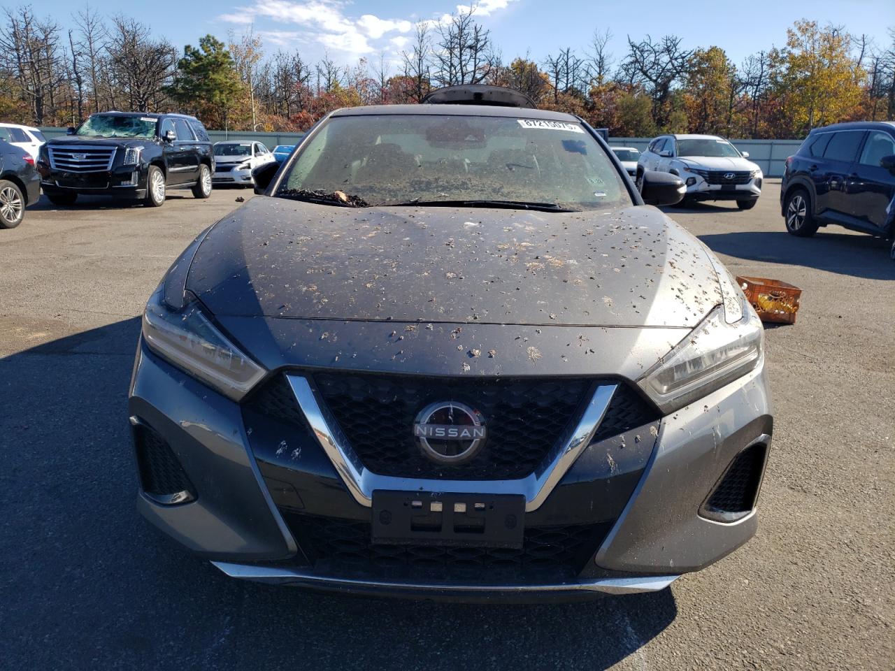 Nissan Maxima Sv Image 12