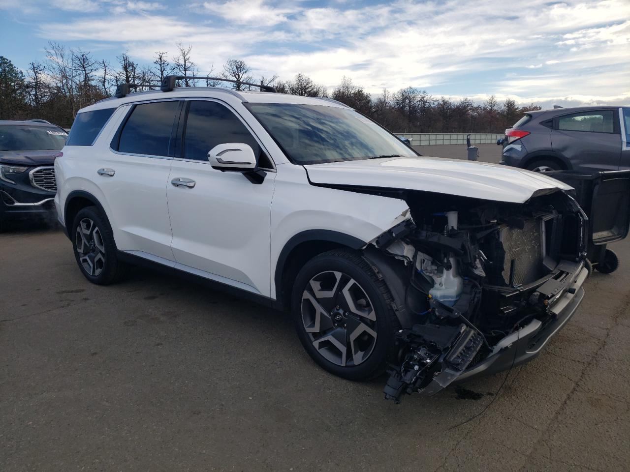 Hyundai PALISADE Sel Premium Image 8