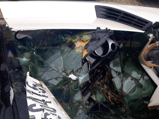 Lamborghini Gallardo S Spyder Image 6