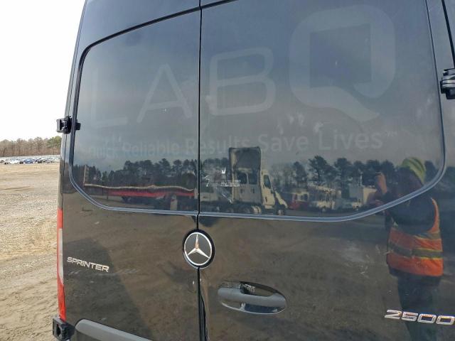 Mercedes-Benz Sprinter 2500 Image 10