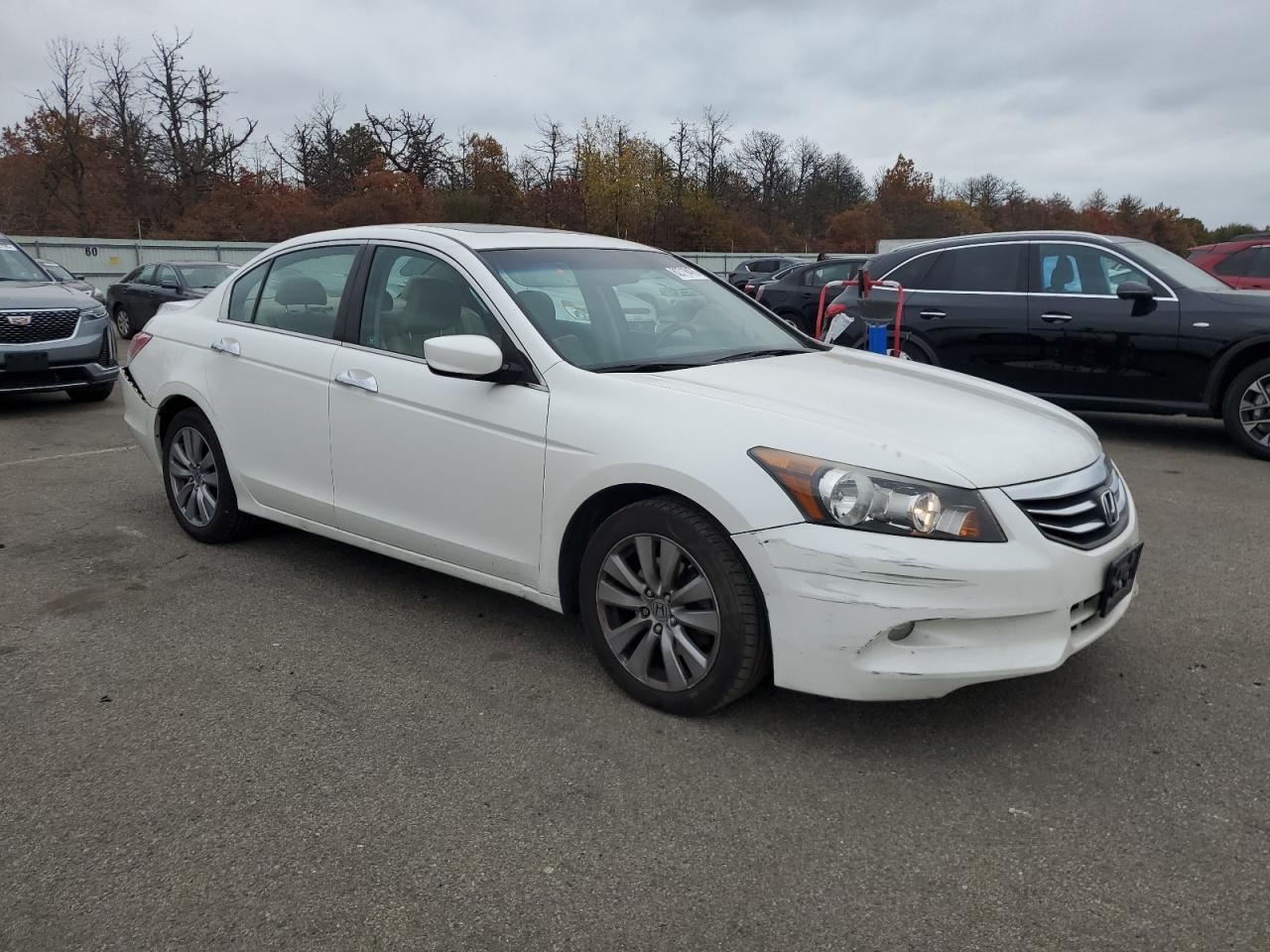 Honda Accord Exl Image 4