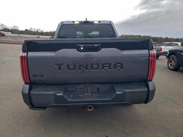 Toyota Tundra Crewmax Platinum Image 7
