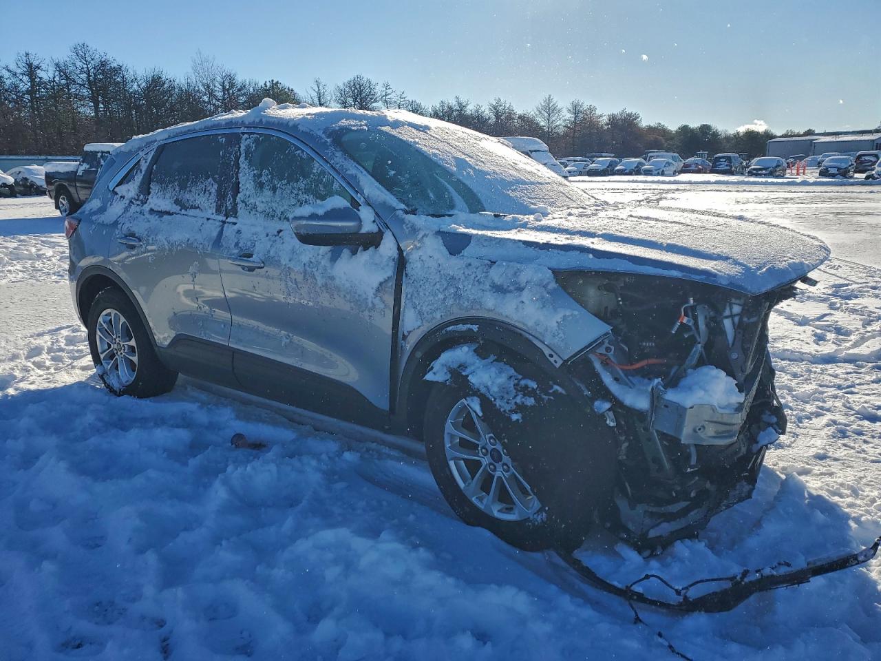 Ford Escape Se Image 5