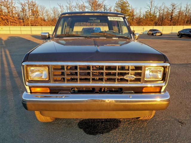 Ford Bronco Image 4