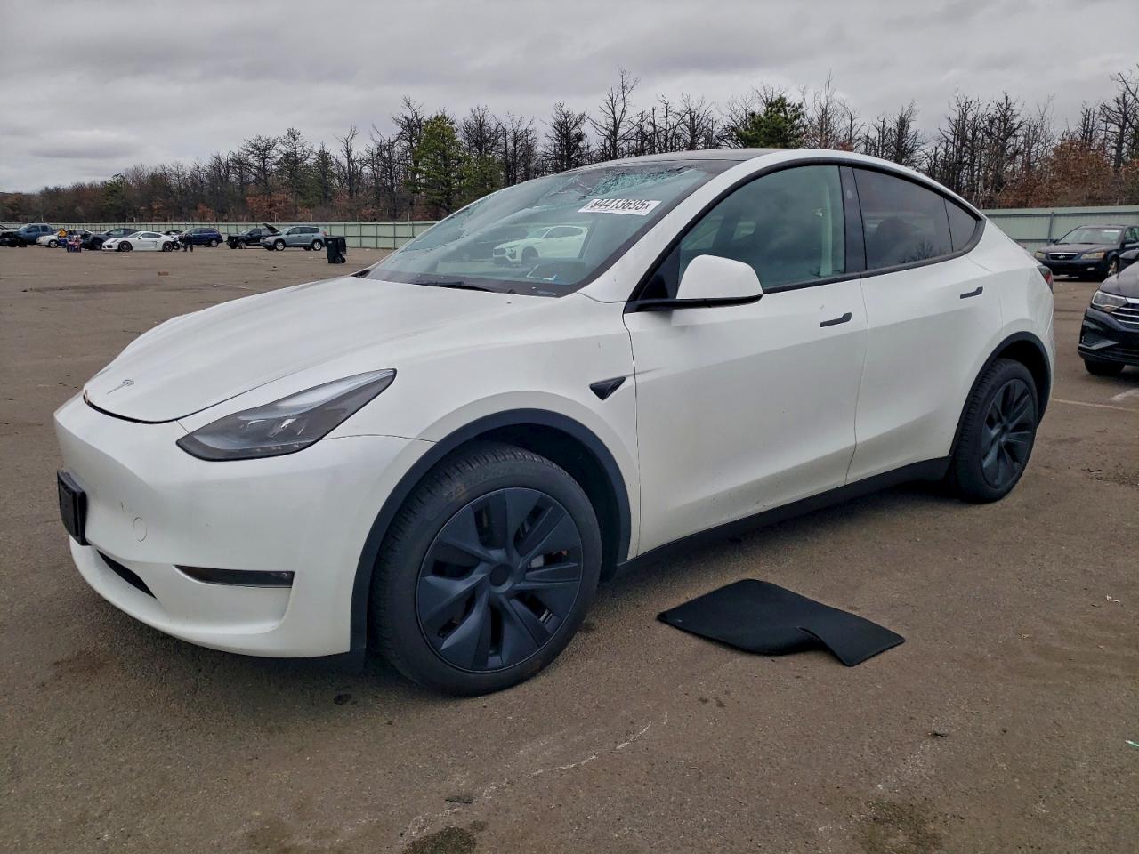 Tesla Model Y Image 1