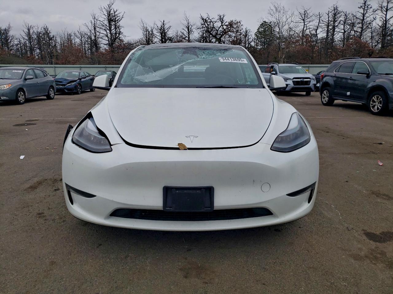 Tesla Model Y Image 2