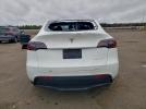 Tesla Model Y Image 4