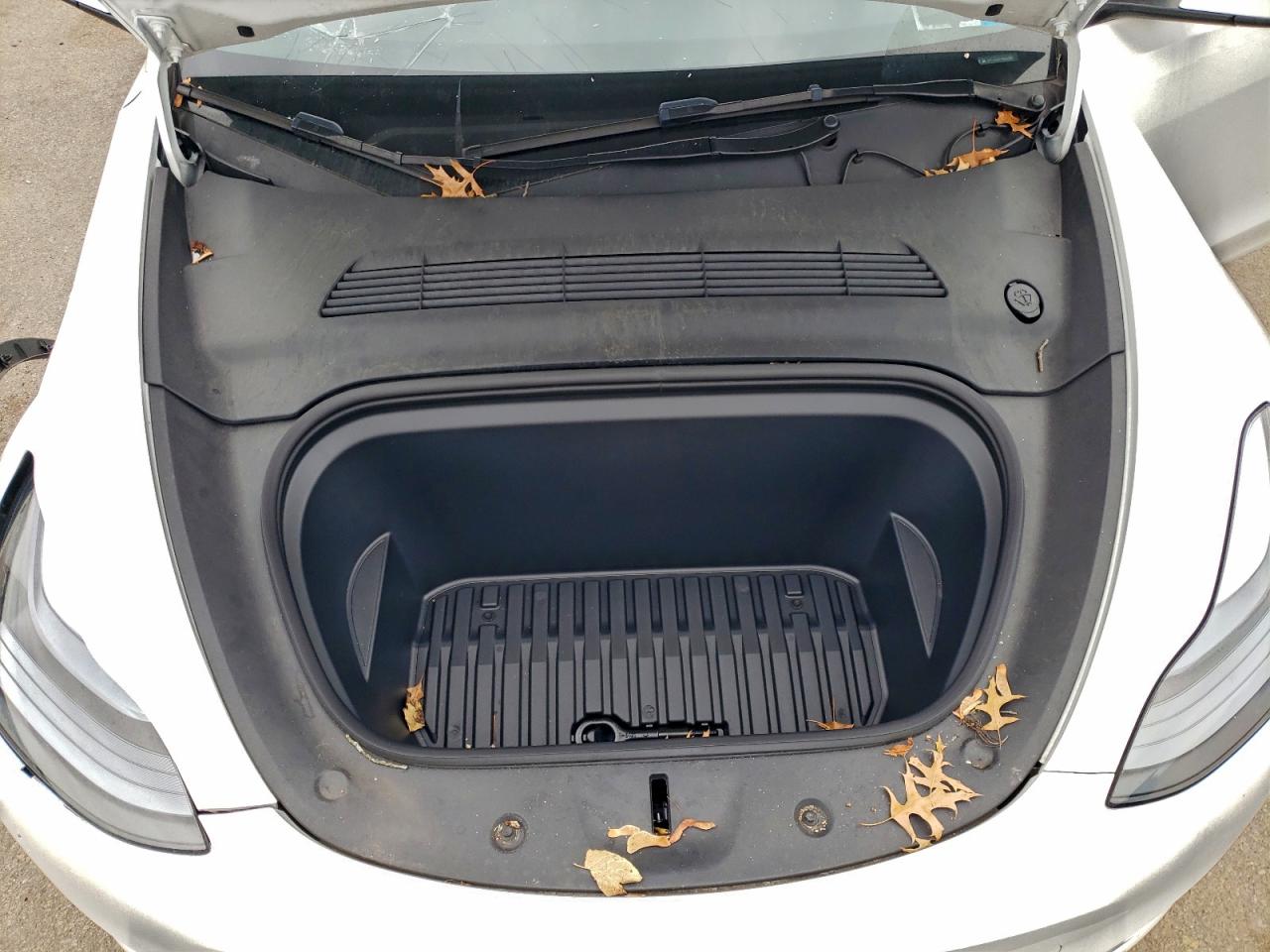 Tesla Model Y Image 11